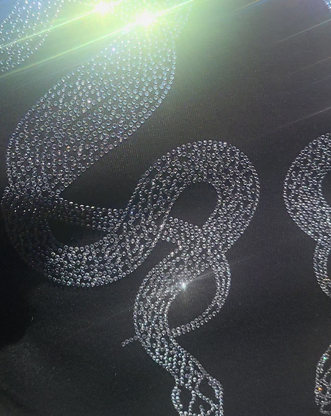 Venom Rhinestone Mid Crop