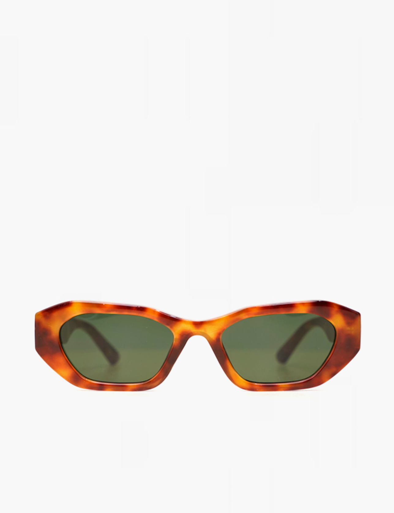 RYDER FRAME -TURTLE / BLACK