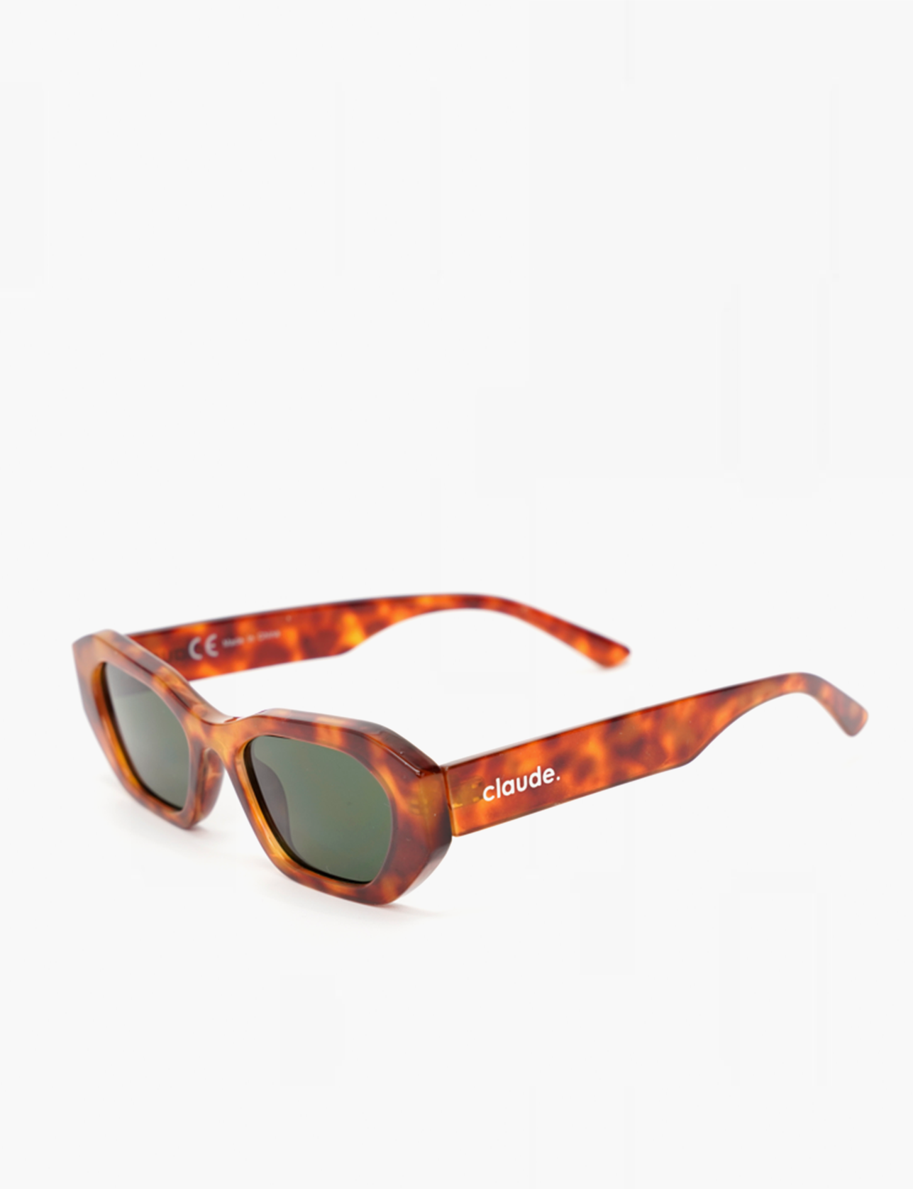 RYDER FRAME -TURTLE / BLACK